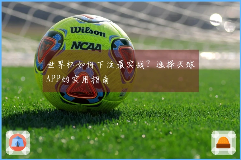 世界杯如何下注最实战？选择买球APP的实用指南