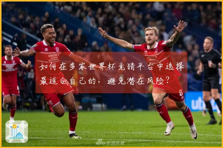 如何在多家世界杯竞猜平台中选择最适合自己的，避免潜在风险？