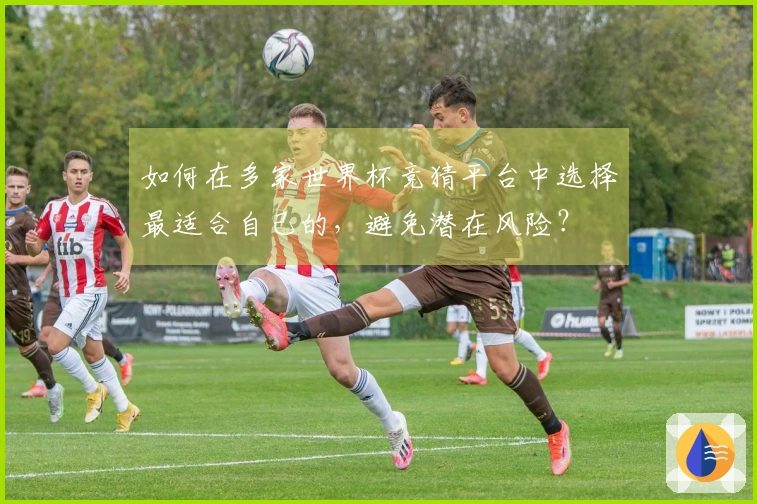 如何在多家世界杯竞猜平台中选择最适合自己的,避免潜在风险?